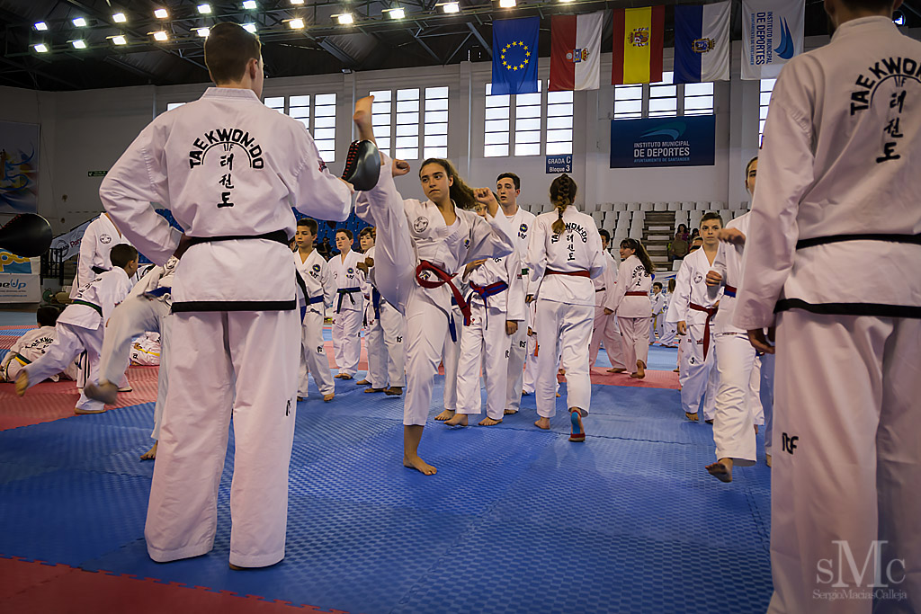 DIA DEL TAEKWONDO ABRIL 2017_3669.JPG